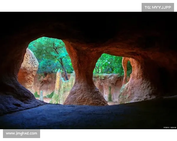 揭开冰虎宝宝生存奥秘探秘 让我们走进极地世界了解它们的成长与挑战